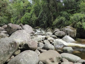 Primeiro atrativo a ser visitado. O acesso é por uma trilha leve porém, muito, muito, escorregadia, cuja entrada é à direita da trilha que leva ao Poço Verde. Interessante.