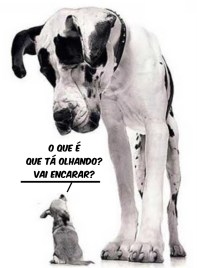 cachorrinho-E-CACHORRÃO.jpg
